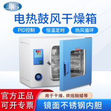 上海一恆DHG-9013A電熱鼓風干燥箱 實驗室干燥箱 工業烤箱烘干箱