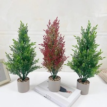 亞馬遜 仿真聖誕小松柏樹 擺件室內盆栽植物綠植假花小樹廠家直銷