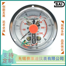 無錫賽萊迪 軸向帶邊耐震電接點壓力表YNXC-100ZT