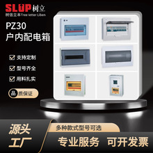 PZ30配電箱回路箱控制箱家用明裝暗裝室內空氣開關盒照明箱空開盒