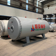 供應120萬大卡油氣兩用導熱油鍋爐用於反應釜加熱板材加工