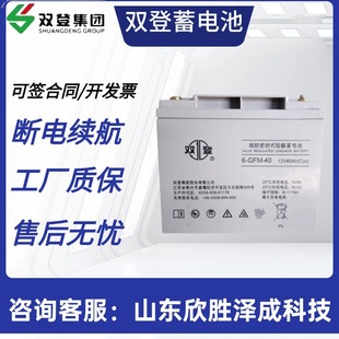 雙登蓄電池 6-GFM-40 12V40AH 直流屏UPS鉛酸免維護儲能電池