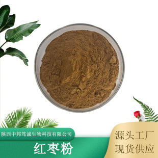 紅棗粉 大棗粉 紅棗果粉 大棗果粉 水溶性好 大棗噴干粉 現貨供應