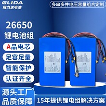 26650鋰電池組24V吸塵器掃地機器人磷酸鐵鋰可充電動力鋰電池組