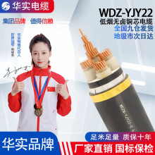 武漢現貨低煙無鹵阻燃低壓電纜WDZ-YJY22國標純銅電線工程項目