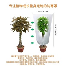 冬季果樹防蟲網罩網袋蓮霧櫻桃藍莓蔬菜花卉綠植防寒防蟲防霜樹罩