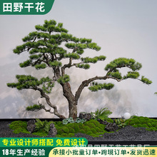 精品仿真迎客松假樹羅漢松新中式造景仿真綠植櫥窗樓梯下裝飾松樹