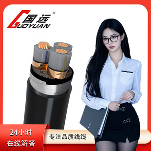 國標WDZ-YJY銅芯電纜3*10平方0.6/1KV低壓阻燃型低煙無鹵電線電纜