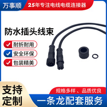 工廠批發M8防水插頭線束防水連接器公母2/6芯防水接頭線電源線
