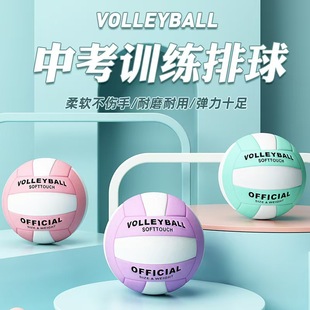 PVCCpпԇِӖPUNƤܛӲ5̖ɳlVolleyball