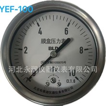 北京布萊迪 BLD全鋼耐震 膜盒壓力表 微壓表 YEFN-100 膜片壓力表