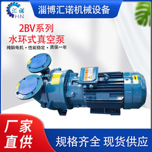 淄博博山廠家供應2BV水環式真空泵高真空鑄鐵不銹鋼