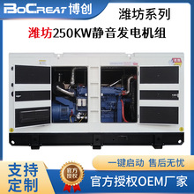 濰坊250KW柴油靜音發電機組380V工廠備用電源無刷發電機