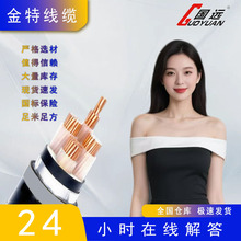 yjv電纜線國標純銅單芯6 10 16 25 35 50 70 95 120平方工程電線