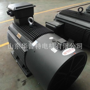 IP55 Ч늙C250KW ׃l{ YVP2-늄әC 15kw 22kw