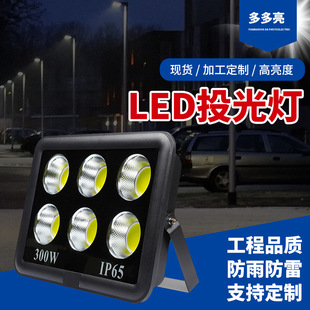 ledͶ50W100WˮعS