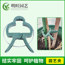 陽台黃瓜夾子吊秧蔓藤夾子園藝用品西紅柿茄子辣椒固定夾子番茄夾