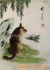 ��Ӧ�λ���������