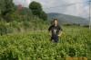 ��Ӧ578Aսͧ���(ͼ)