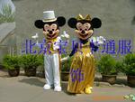 ��Ӧ����ǿ֯��