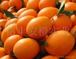 ��Ӧ��������Ь,�ͱ�Ь,��ѥ(ͼ)