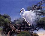 ����ǰ���ϱ�Ƶ��C8U�յ������۸񳬵ͣ�