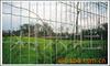 ��ӦCXG 392 �������̨/�������(ͼ)