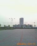 ��Ӧ�ߵ����۵ƾ�ͥԺ�ƾ�(ͼ)