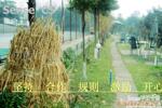 ��Ӧ�������ʹ�