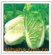 ��Ӧ����(ͼ)����ˮֽ���棬��ľ���棬�𽺱���
