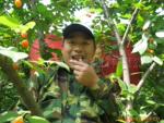 ��ӦXBD-W����ʽ������(ͼ)