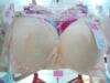 ��Ӧ���ҡ������ҡ����ҡ����㡢���뻱����ͩ����ľ