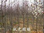 ��Ӧ�н�,������α����α�̱꣬���ѻ���