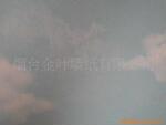 ��Ӧ�������ñ���CARD-8217��