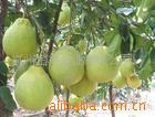 ��Ӧ��е�㲿���ӹ�(С������