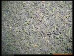 ��ӦӢ�������Ų��ͷ����(P400E3)