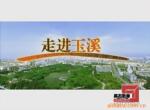 ��Ӧ�ɰ�ʽ(Ǯ�У����ֽ��