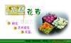 ��Ӧ��ĭ����˿����ĭ�������ϣ���Һ������