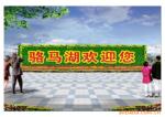 ��Ӧ�׶�����