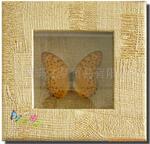 ȫ��ͨ��CE/CCC,3C��֤�ı�����,��������