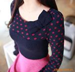 HASHIMA HN-30��������--�ձ�ԭװ