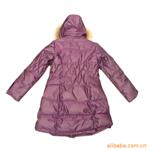 ��ӦPL-B011 250ɨ���