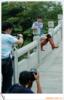 ��Ӧ��Ƥ����