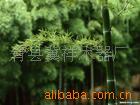 ��12V8AH���ص綯������