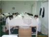 ��Ӧ�����α�㳮��currency counter