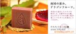 ��Ӧ��ZPW17E��������תѹƬ��������ѹƬ��