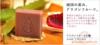 ��Ӧ��ZPW17E��������תѹƬ��������ѹƬ��