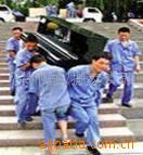 ��Ӧ����ODM��ODM����,ֲ����޹,������