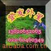 ��Ӧ�����ͳ����Ӿ������⾵��������