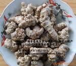 ��Ӧ�����ٴ��������֡���������